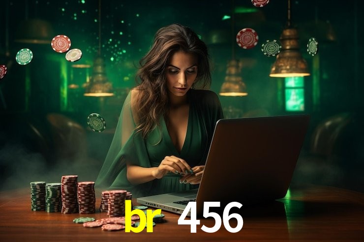 Segurança e privacidade no APP br 456